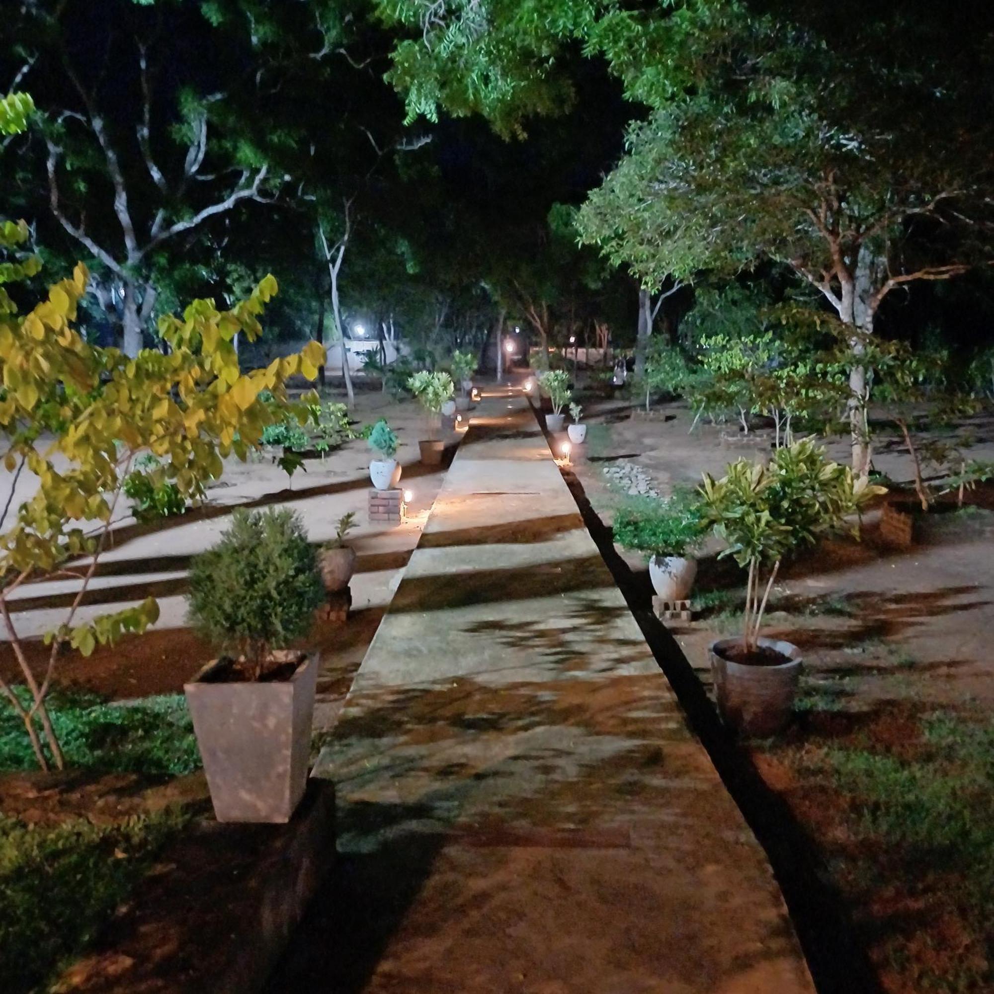 Forest Edge Villa アヌラーダプラ エクステリア 写真